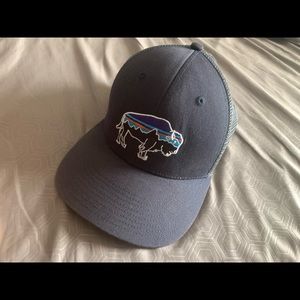Patagonia Fitz Roy Bison LoPro Trucker Hat